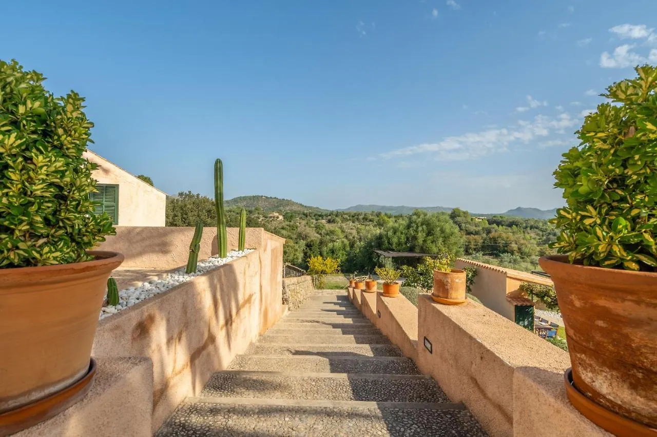 Arta - 44509 Mallorca 0*,